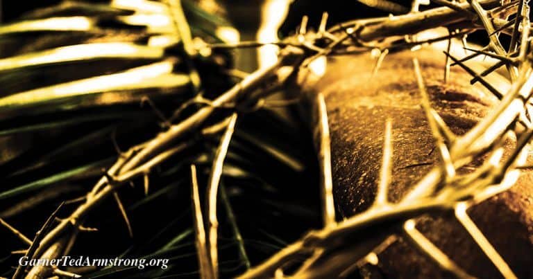 Salvation Through Jesus Christ