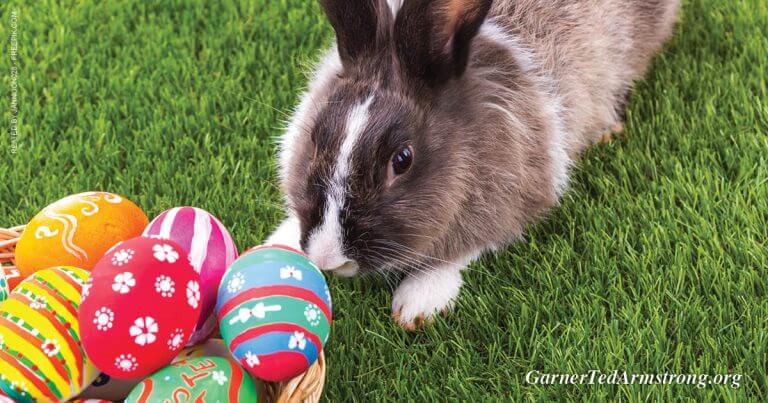 Should Christians Observe Easter or the Passover?