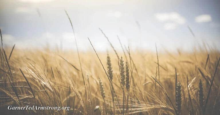 Why God Commands Our Presence at His Feast!
