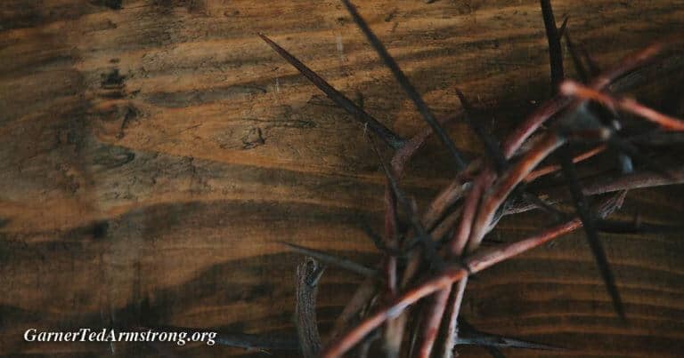 Could Jesus Have Sinned?