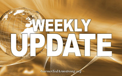 Weekly Update by Mark Armstrong – November 28, 2025